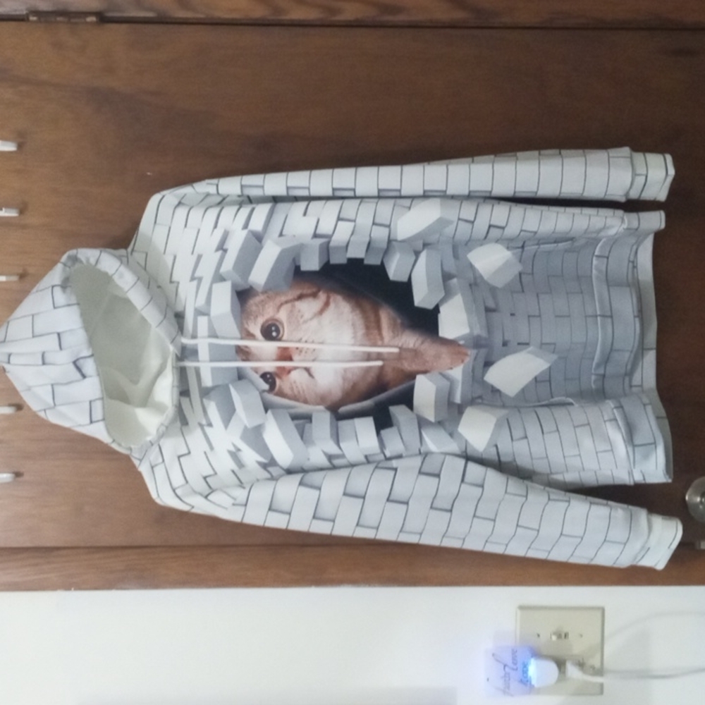 Cat hoodie